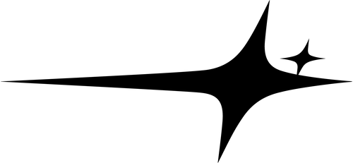 Logo Make It Shine