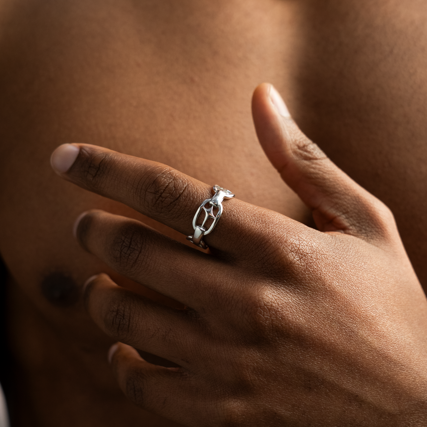 H-ring signature argentée