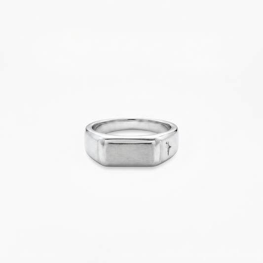 Signet ring argentée